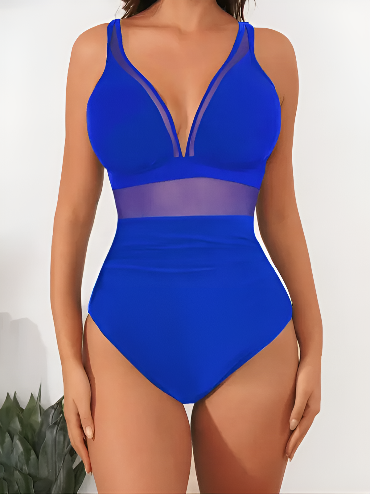 Seaside Allure – Mesh Contrast One-Piece Swimsuit